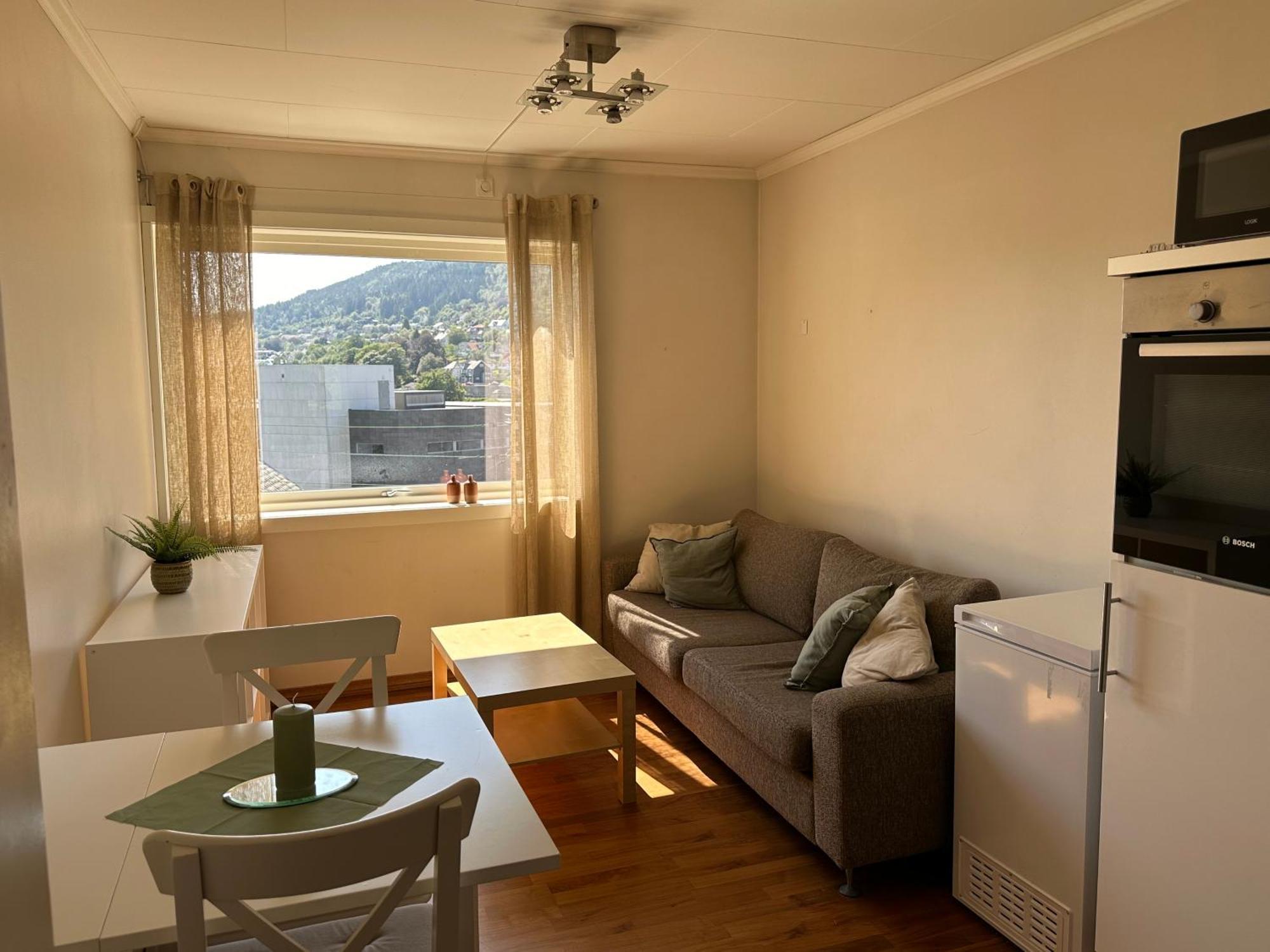 Apartment Sjarmerende Sentralt I *